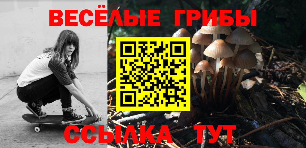 Галлюциногенные грибы MAGIC MUSHROOMS Новокубанск