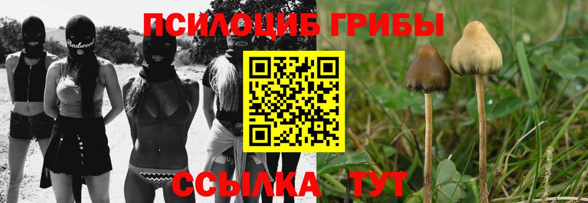 Галлюциногенные грибы Magic Shrooms  Вход с VPN  Новокубанск 